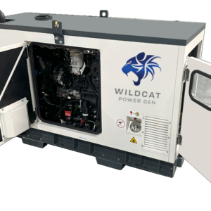 Freedom FE0010D4ASXP Diesel Gen Set - 10 kW